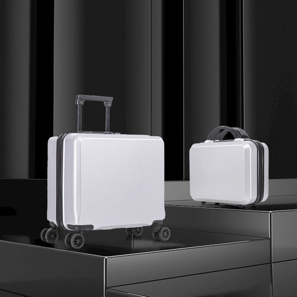 2 Piece Travel Luggage Set Hard shell Suitcase with Spinner Wheels 18' Underseat luggage and 14' Comestic Travel case Toiletry box Silver